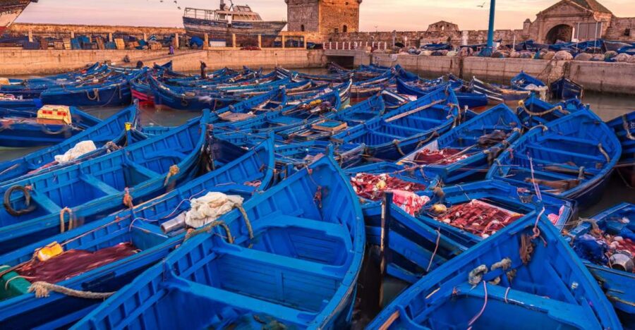 From Marrakech: Essaouira Full-Day Trip