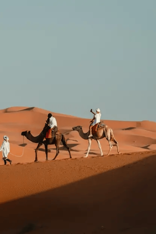 From Marrakech: Magical 3-Day Desert Tour to Fes Via Sahara