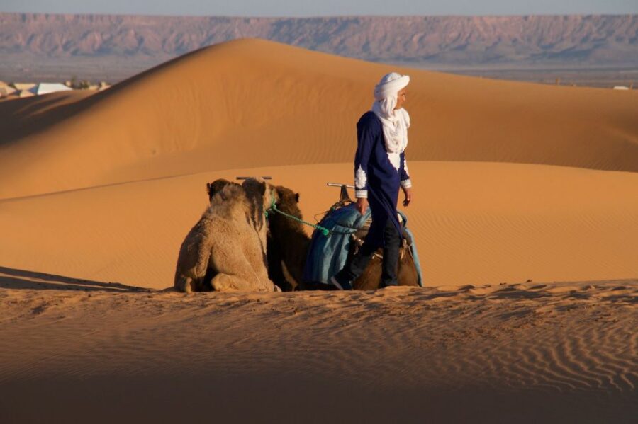 From Marrakech: Merzouga 3-Day Desert Safari With Food - Tour Overview and Pricing