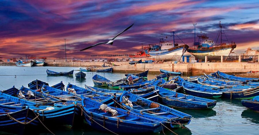 From Marrakech : Private 1-Day Trip To Essaouira Mogador