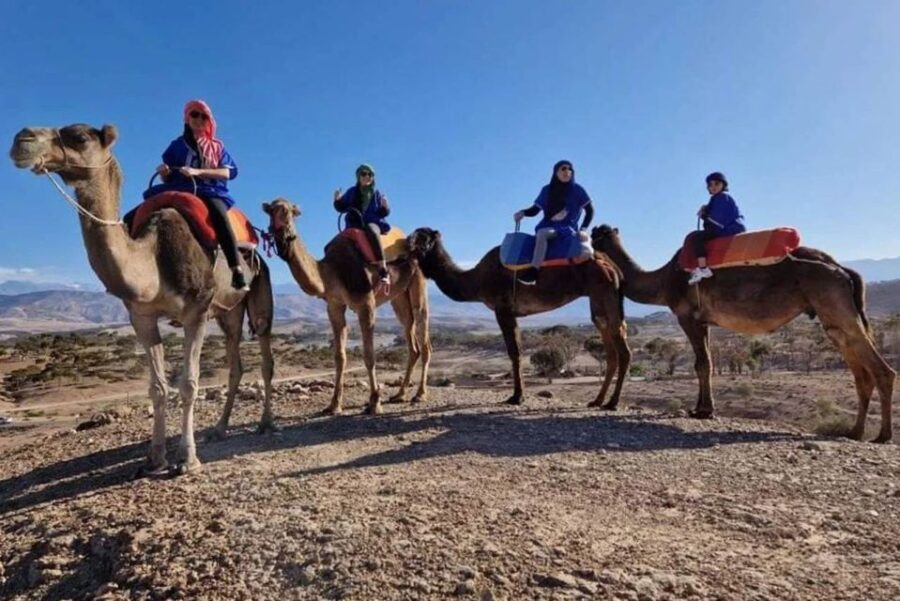 From Marrakech :Sunset Camel Ride in Agafay Desert
