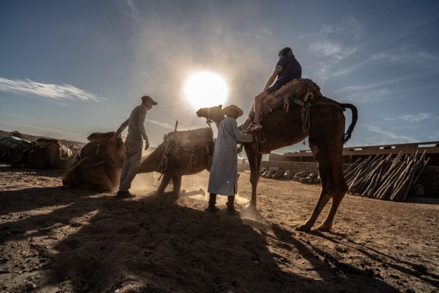 From Marrakech: VIP Agafay Desert & Oasis Camel Experience