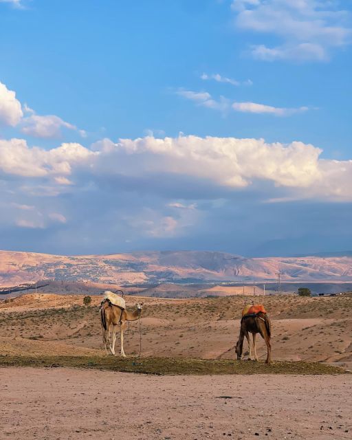 From Marrakesh: Agafay Desert Sunset, Camel Ride, and Dinne