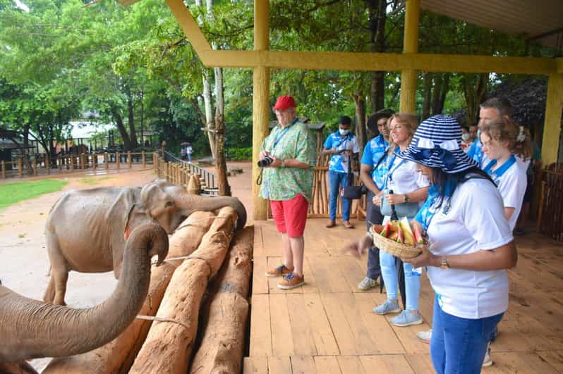 From Negombo: Kandy Transfer With Elephant Orphanage Visit