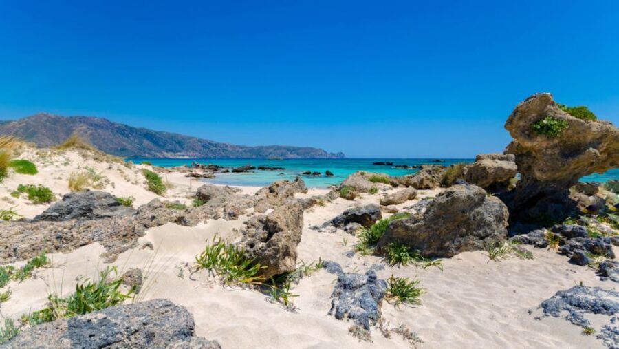 From Rethymno: Elafonisi Pink Sand Beach W/ Transfer - Tour Overview and Pricing