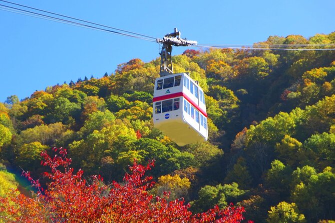 From Takayama: Alpine Splendor – Shinhotaka Ropeway and Kamikochi