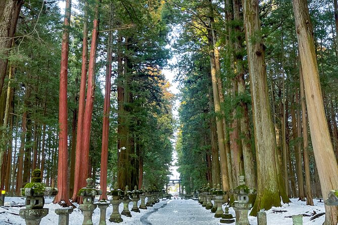 From Tokyo to Mount Fuji! Private Car Tour by Eng Speaking Driver - Tour Features