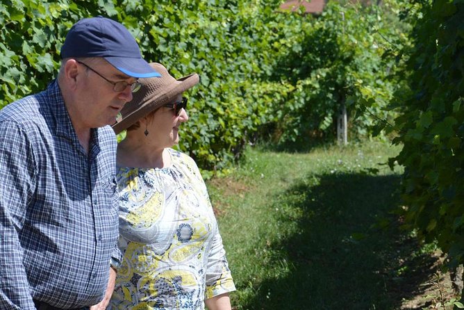 From Verona and Garda: Visit to Sirmione and Lugana Wine Experience