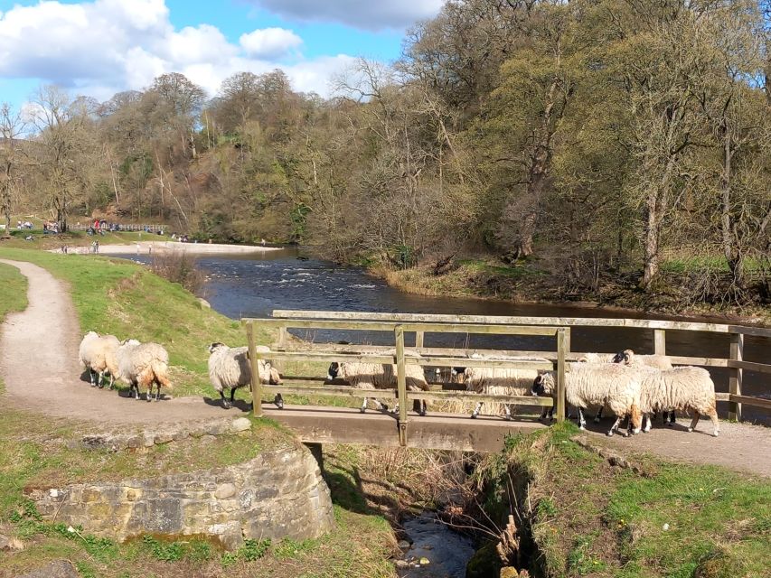From York: Herriot and Yorkshire Dales Day Trip - Tour Overview
