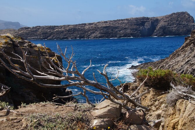 Full-Day Boat Guided Trip to Asinara With Van Pickup and Lunch - Trip Highlights