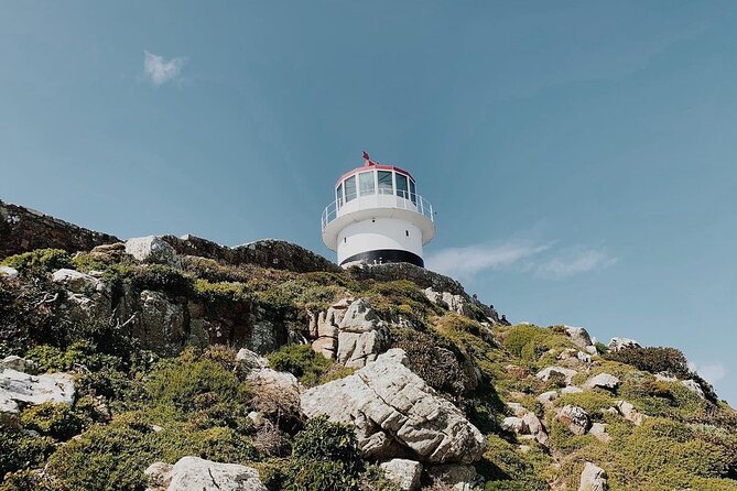 Full Day Cape of Good Hope-Cape Point Group Tour From Cape Town