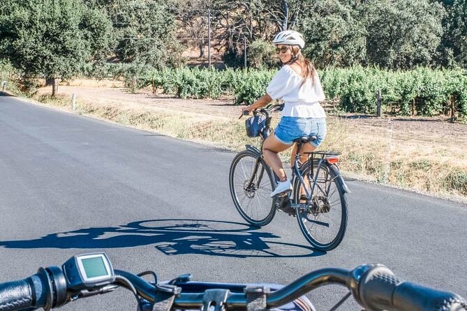 Full-Day Electric Bike Rental