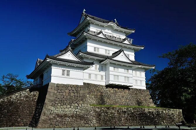 Full-Day Enoura Observatory and Hakone Hot Spring Private Tour