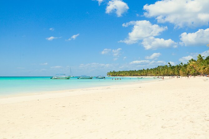 Full Day Excursion to Isla Saona From Santo Domingo