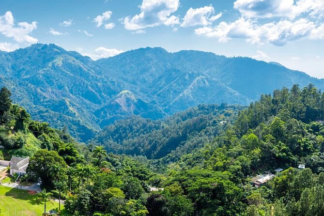 Full Day Kingston and Blue Mountains Group Tour