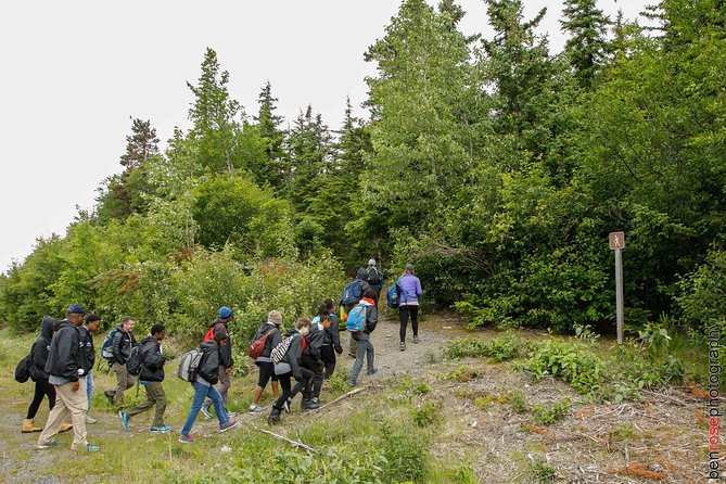 Full-Day Mount Riley Hike Review