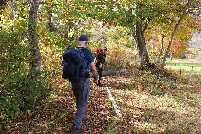 Full Day North Nagano Hiking Experience - Highlights of the North Nagano Hiking Experience