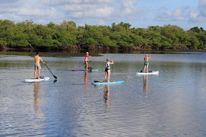 Full-Day Paddle Board Rental in Naples, Florida