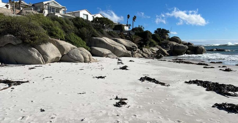 Full-Day Private Cape Town’s Most Beautiful Beaches Tour