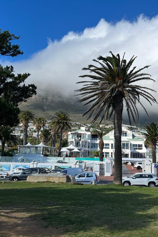 Full-Day Private Cape Town’s Most Beautiful Beaches Tour