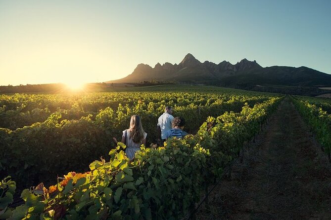 Full Day Private Cape Winelands