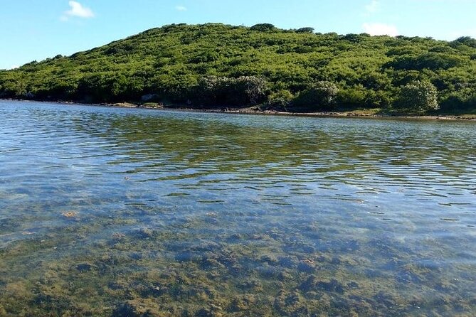 Full-Day Private Hiking Le Morne Mountain & Seafood Lunch at Islet Fourneau - Hiking Highlights