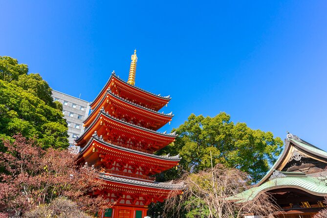 Full Day Private Shore Tour in Fukuoka From Fukuoka Cruise Port
