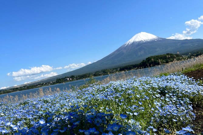 Full Day Private Tour in Mount Fuji and Hakone
