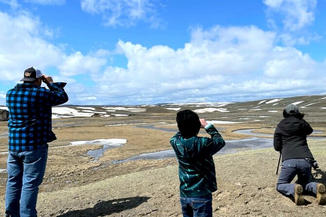 Full Day Private Yellowstone Tour Review