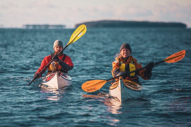 Full-Day Sea Kayaking Experience in Pargas