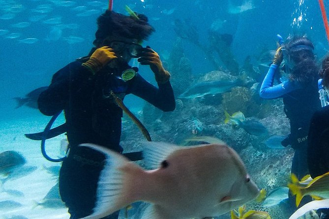 Full-Day Tour of Florida Keys Including Aquarium Encounters From Key West