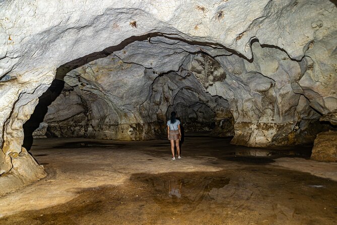 Full Day Tour to 3 Dominican Cultures Afro, Hispanic and Taino