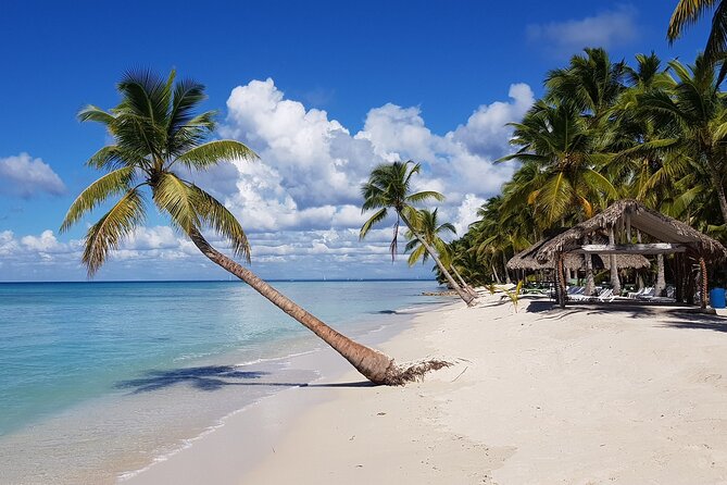 Full-Day Tour to Saona Island From Uvero Alto With Lunch