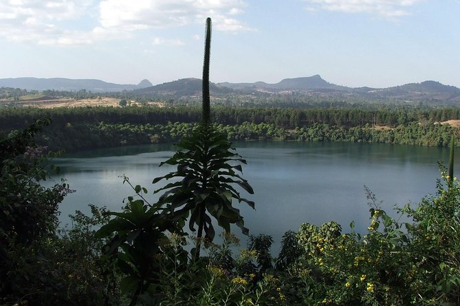Full Day Trip to Lake Wonchi
