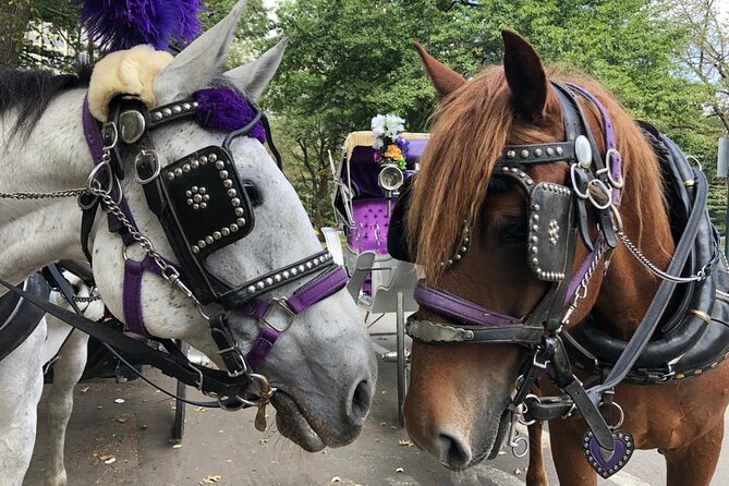 Full Loop Private Horse Carriage Ride in Central Park 45 Minutes - Tour Overview