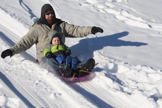 Fun and Adventure: Sledge Run in Czech Mountains