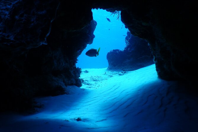Fun Dives Cozumel South Marine Park