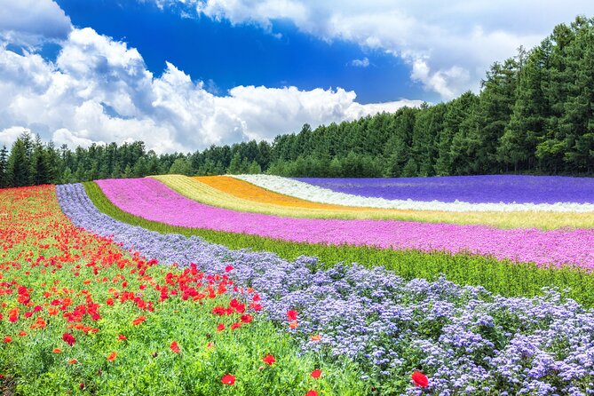 Furano Private Customizable Full Day Tour - Tour Overview