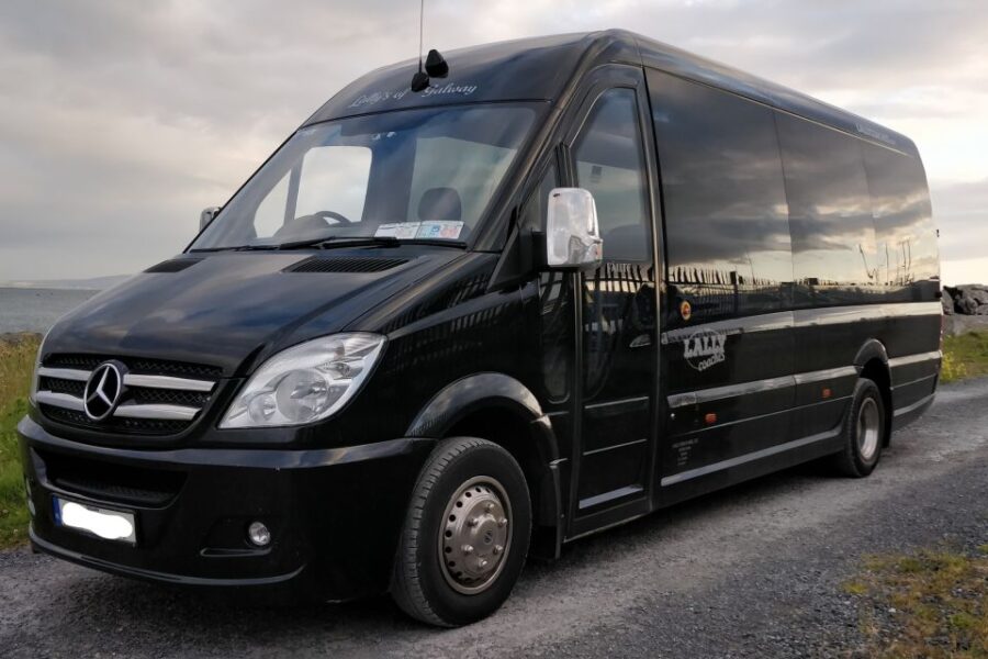 Galway: Connemara, Sheepdog Show and Medieval Castle Tour