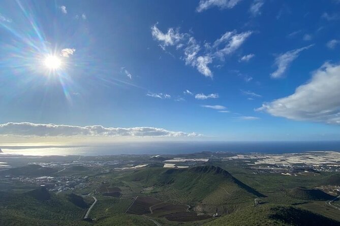 Gastro Wine Tour South Tenerife