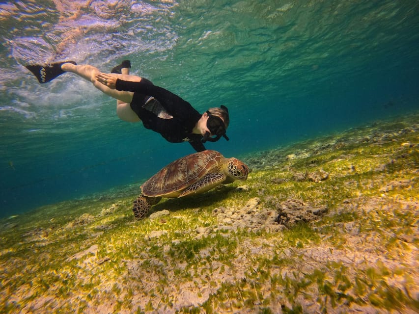 Go Pro Snorkling Trip 3 Islands.