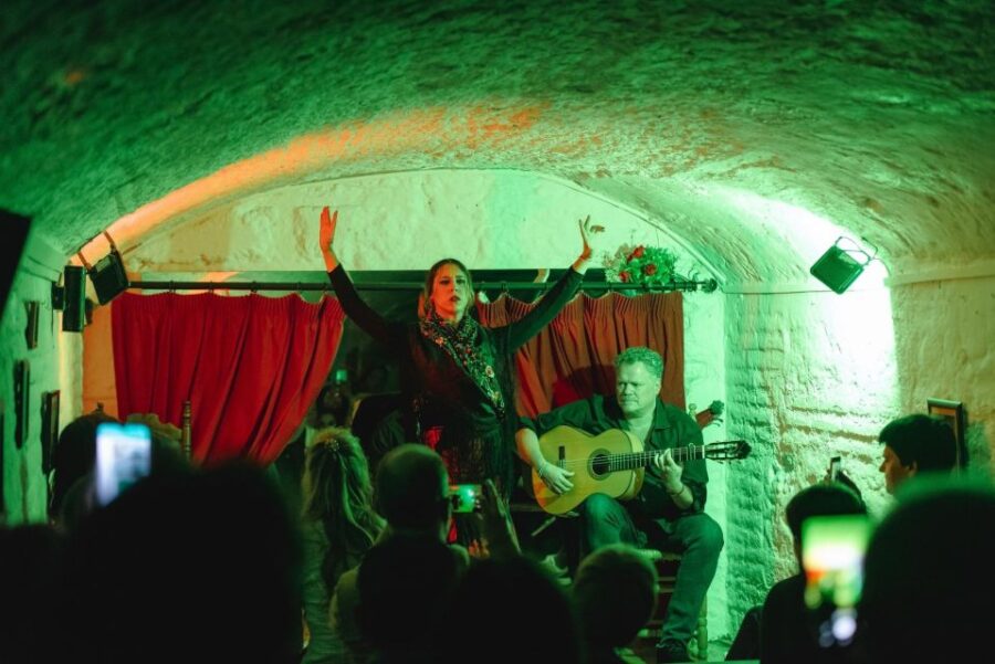 Granada: Traditional Flamenco Show in a Cave Entry Ticket