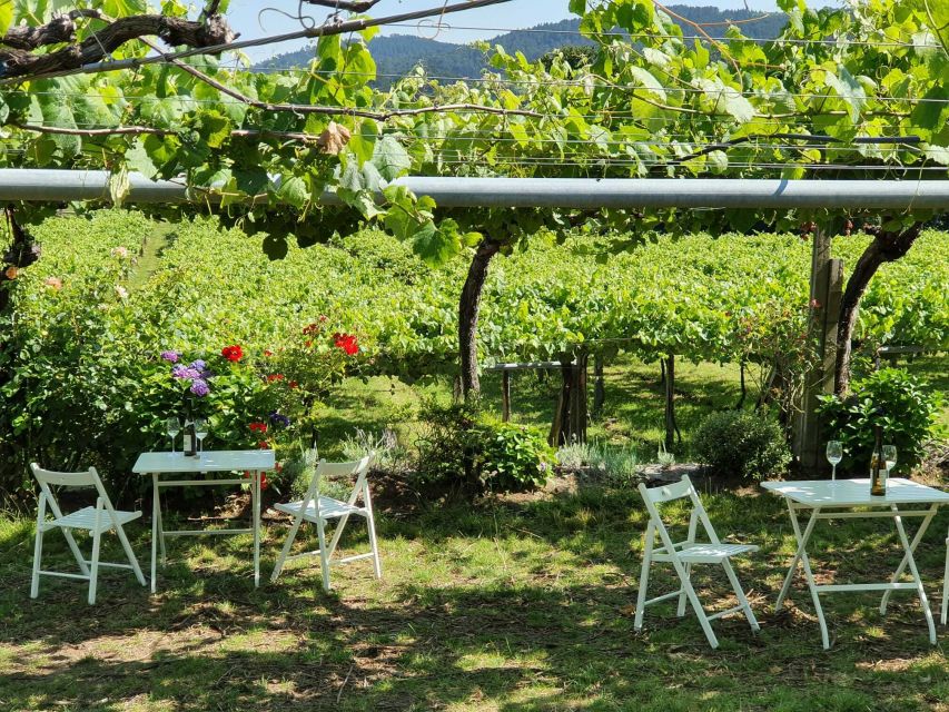 Granbazán Winery: Guided Tour and Wine Tasting