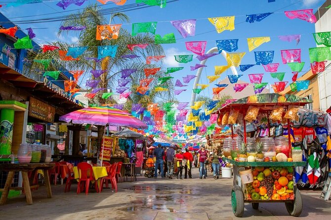 Grand Baja Mexico Private Coastal Tour From San Diego