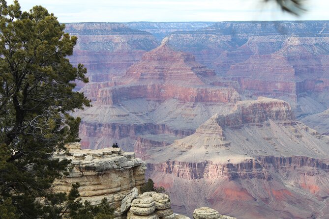 Grand Canyon National Park South Rim Bus Tour From Kingman