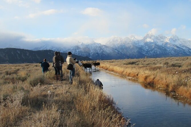 Grand Teton and Its Wildlife: Private Guided Tour