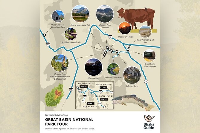 Great Basin National Park Audio Guided Tour Review - Meeting Points and Logistics