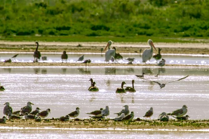 Great Salt Lake Guided Bus Tour From Salt Lake City