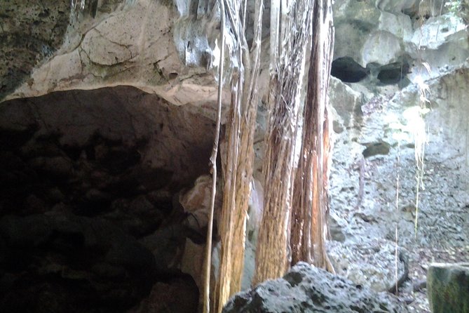 Green Grotto Cave Tour
