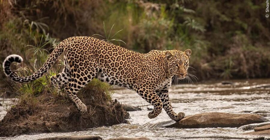 Groningen: Expo Wildlife Photographer of the Year at Forum